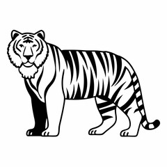 Bold Line Art Tiger on White Background