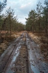 Obraz premium An unpaved, muddy path through the woods.