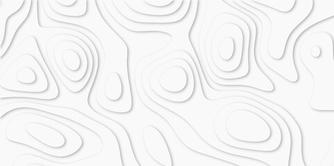 Abstract White paper cut background with lines. Topographic map in contour line light topographic topo contour map. white line drawing geometric paper art design. 3d papercut decoration textured. maps