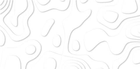 Abstract White paper cut background with lines. Topographic map in contour line light topographic topo contour map. white line drawing geometric paper art design. 3d papercut decoration textured. maps