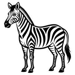 Bold Zebra Line Art on White Background