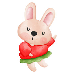 Cute rabbit character wearing red shirt and green skirt, smiling happily