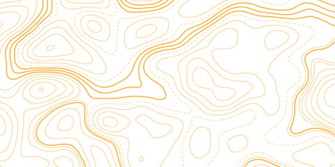 Abstract Topographic Contour Line Pattern, geographic contour map paper texture. terrain path isolated on a white background retro topographic map. vector ill