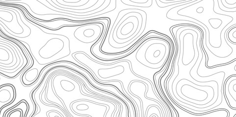 Abstract Topographic Contour Line Pattern, Topographic map background geographic line map with elevation assignments.