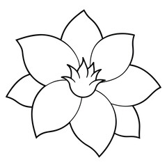 Hellebore Flower Vector Illustration, Botanical Hellebore Flower Vector Graphic, Hellebore Flower with Leaves