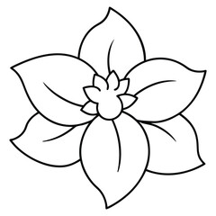 Hellebore Flower Vector Illustration line art design, Hand-Drawn Hellebore Flower Vector Art, Elegant Hellebore Flower