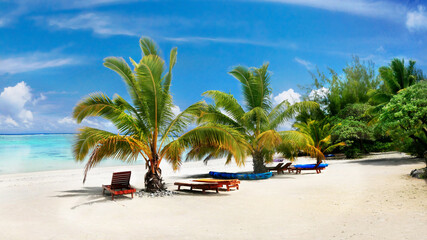 Cook Islands Paradise. Tropical island Aitutaki. Beach with palm trees and sea coral lagoon 