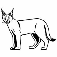 Caracal Line Art Vector