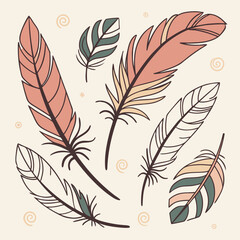 Obraz premium A collection of six hand-drawn feathers, showcasing various shapes and colors, perfect for adding a touch of boho chic to your designs.