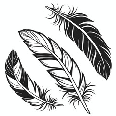 Obraz premium Three detailed black and white feathers, perfect for adding a touch of nature to your designs. These elegant and stylish feathers are ideal for logos, branding, invitations.
