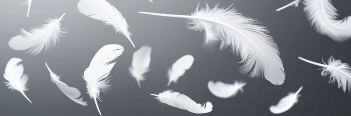 Obraz premium Ethereal white feathers floating, black and white contrast, dreamy atmosphere, soft focus, monochromatic, gentle movement, lightweight textures, abstract background, falling plumes, peaceful mood, min