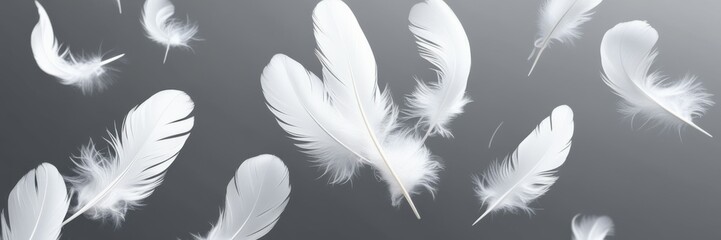 Obraz premium Ethereal white feathers floating, black and white contrast, dreamy atmosphere, soft focus, monochromatic, gentle movement, lightweight textures, abstract background, falling plumes, peaceful mood, min