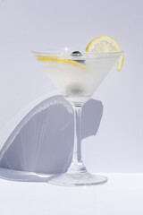 Cocktail garnished with berry and a slice of lemon