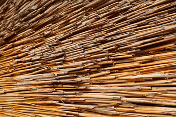 Close-up of aligned reeds or sticks. Background straw.