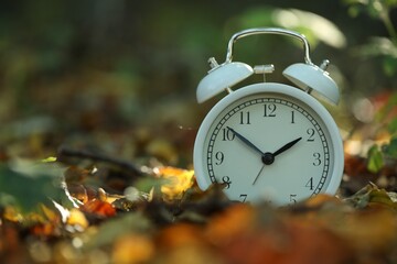 Alarm clock on fallen dry leaves outdoors, closeup. Space for text