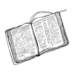 Sketch with book. Education concept. Bible illustration.