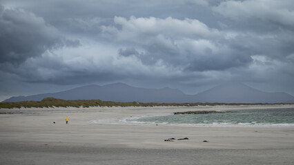 White sandy beach under dark skies