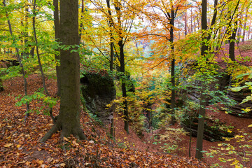 Obraz premium Colorful autumn Landscape in Bohemian Paradise, Czech Republic 