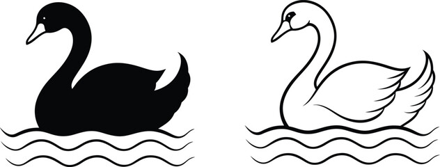 Black and White Swans Swimming in Water