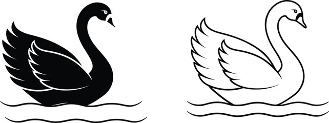 Black and White Swan Illustrations Water