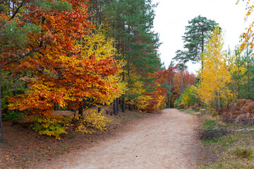 Colorful autumn Landscape in Bohemian Paradise, Czech Republic 