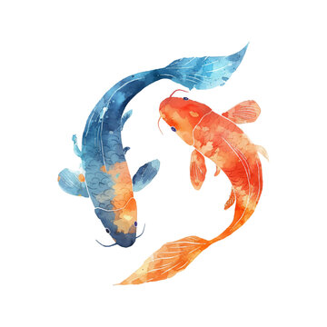 watercolor koi fish swimming together clip art preview