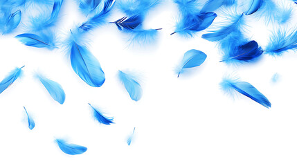 Fototapeta premium Blue feather isolated on white background. Floating feather. Fallen bird feather