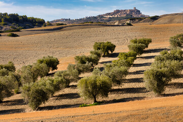 Arid but fertile landscape around the abandoned city of Craco in Italy