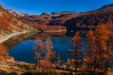 Alpe Devero