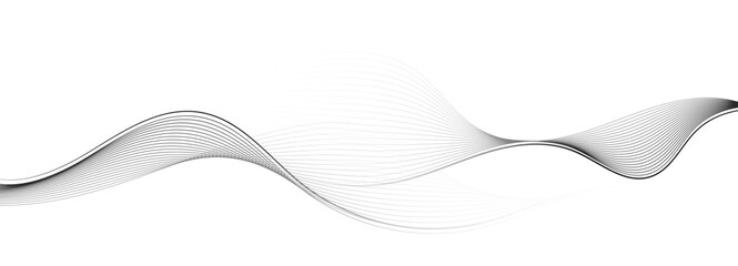 Monochrome abstract wave line background with smooth flowing curves. Vector illustration. 