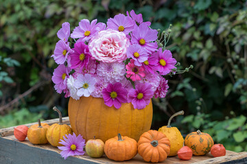 Blumenstrauß aus pink Rose, Schmuckkörbchen (Cosmea) und Dahlien in Kürbis als Vase 
