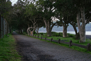 Tranquil Sunday morning of walking path in Playa Grande, Pucon. Araucania Region, Chile