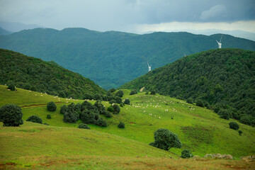 Obraz premium Serene Mountain Meadow with Distant Wind Turbines under Blue Sky 