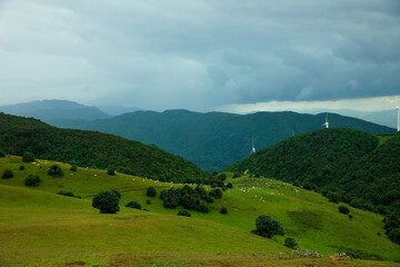 Obraz premium Serene Mountain Meadow with Distant Wind Turbines under Blue Sky 