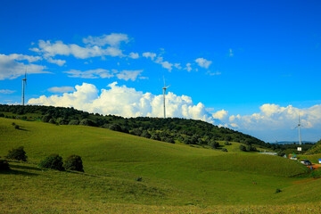 Serene Mountain Meadow with Distant Wind Turbines under Blue Sky
