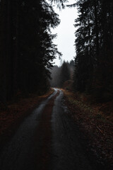 Moody road in rainy forest