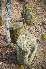 Obraz premium Ancient stone menhirs, man-made hewn stones from the Stone Age