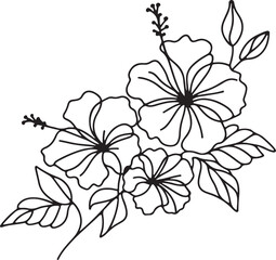 Continuous one line art drawing of hibiscus flower vector art illustration © Mohaiminul