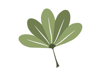 Ilustração folha, planta, isolado, flor, natureza, árvore, deixar, branco, galho, primavera, erva, flora, gomo, fresco, macro, objectos, ajardinar, alimento, verão, botânica, crescimento, flor, lírio,