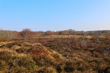 Blick auf die Duhner Heide zwischen den Cuxhavener Ortsteilen Duhnen und Sahlenburg