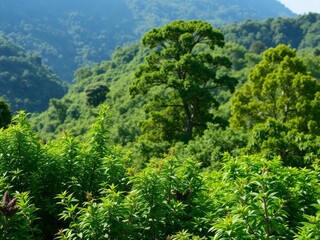 Image of a dense, lush forest with sunlight filtering through the trees, creating a peaceful and serene atmosphere, foliage, lush