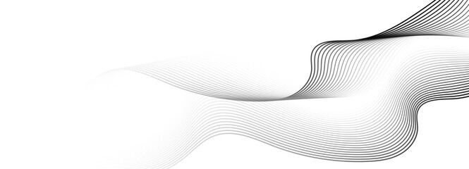 Monochrome abstract wave line background with smooth flowing curves. Vector illustration. 