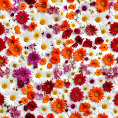 Beautiful close up floral composition with a colorful flowers