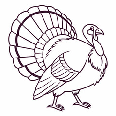 A simple line drawing of a turkey, perfect for coloring pages, Thanksgiving crafts, or adding a touch of festive charm to your designs.  This vector illustration is ideal for kids' projects.