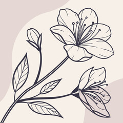 A delicate line art illustration featuring two blooming flowers with intricate details, perfect for adding a touch of elegance and nature to your designs.