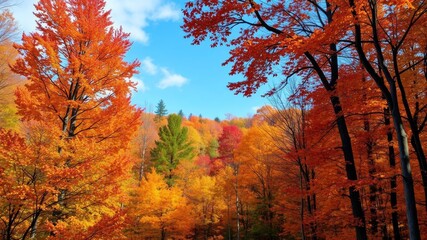 Fototapeta premium Vibrant autumn leaves in various shades of orange, red, and yellow scattered on the ground, forest, nature