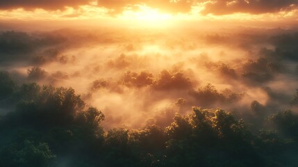 Fototapeta premium Bird’s-eye view of mist-covered forest at dawn, treetops emerging through layers of fog, soft sunlight illuminating the mist with warm tones, mysterious and tranquil atmosphere,