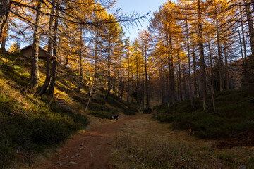 Alpe Devero