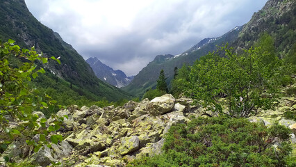 Obraz premium Teberda Nature Reserve, Karachayevo-Cherkesskaya Respublika, Russia. August 10, 2024.