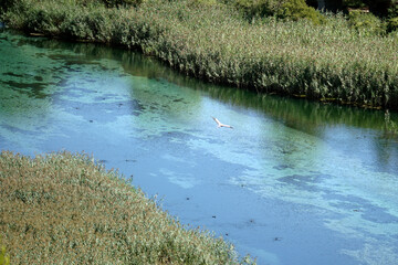 Riserva naturale sorgenti del Pescara, Popoli Terme